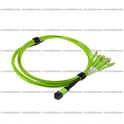 MPO - 8xLC Fiber Bağlantı Kablosu Çok Modlu OM5 8F 3.0mm LSZH MPO Fiber Kablo