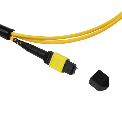 Topluluk OFNP MPO Patch Cord 1m 3ft MTP-12 APC Kadın ile MTP-12 APC Kadın Tek Mod OS2