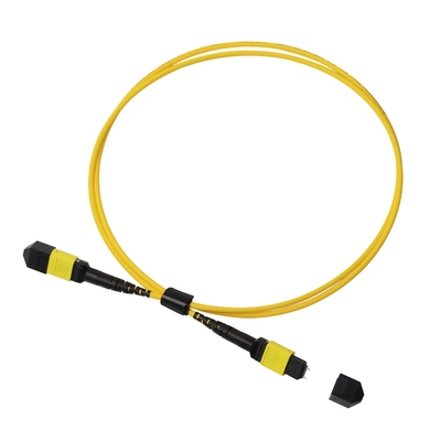 Topluluk OFNP MPO Patch Cord 1m 3ft MTP-12 APC Kadın ile MTP-12 APC Kadın Tek Mod OS2