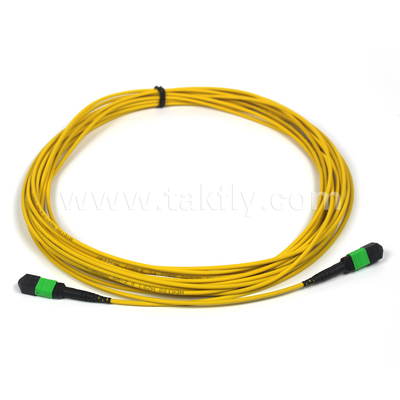 3m 10ft MTP-12 APC Kadın MTP-12 APC Kadın Tek Mod OS2 Plenum MPO Patch Cord Sarı