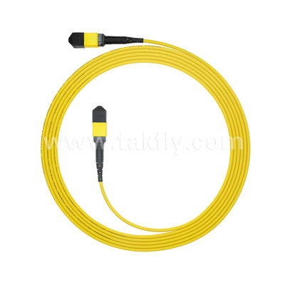 MPO/MTP Patchcord Zırhlı Gövde Kablosu SM/MM Jumper Data Center AI FTTX Telecom için Fiber Optic