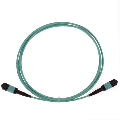 Elite Multimode OM3 50/125, Plenum OFNP Tip B MPO Patch Cord 3m 10ft MTP-12 PC Kadın MTP-12 PC Kadın