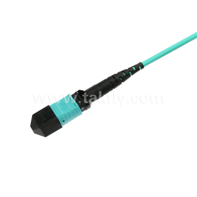Elite Multimode OM3 50/125 Plenum OFNP Tip B MPO Patch Cord 30m 100ft MTP-12 PC Kadın MTP-12 PC Kadın