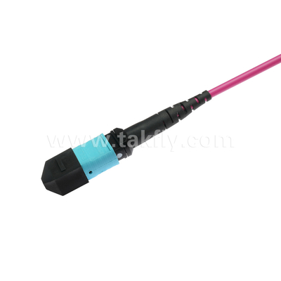 Elite Multimode OM4 50/125, Plenum OFNP Tip B MPO yama kablosu 3m 10ft MTP-12 PC Kadın MTP-12 PC Kadın