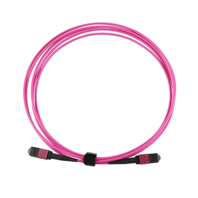 Elite Multimode OM4 50/125, Plenum OFNP Tip B MPO Patch Cord 5m 16ft MTP-12 PC Kadın MTP-12 PC Kadın