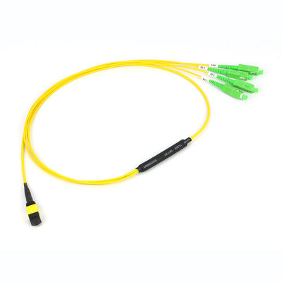 50/125um Fiber Modlu ve PVC/LSZH Dış Kılıflı 12/24/48/96/144 Çekirdekli MPO/MTP Trunk Kablo Fiber Optik Patchcord