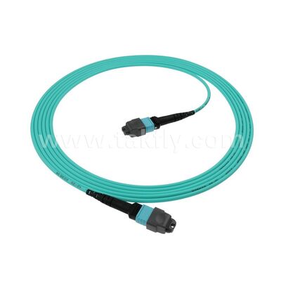 8F 12F 16F 24F MPO MTP Erkek Dişi OM3 OM4 OM5 Çok Modlu / Multimod Fiber Optik Yama Kablosu / Optik Fiber Yama Kablosu / Optik Breakout Kablo / Optik Fiber Trunk Kablo Yüksek Yoğunluklu Veri Merkezi için
