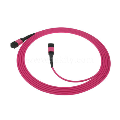 MM Çoklu Mod OM4 MPO MTP Erkek Dişi 8F 12F 16F 24F Fiber Optik Yama Kablosu / Optik Fiber Yama Kablosu / Optik Ayrıştırma Kablosu / Optik Fiber Ana Kablo PVC LSZH OFNR OFNP Dış Kılıf ile