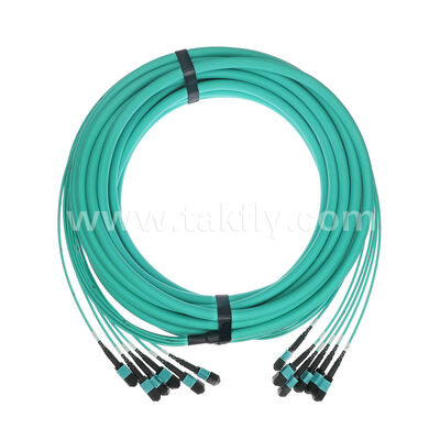 OM3 OM4 Çok Modlu 72 lifli 6x12F MPO MTP - 6x12F MPO MTP Erkek Dişi Fiber Optik Yama Kablosu / Optik Fiber Yama Kablosu / Optik Breakout Kablo / Optik Fiber Ana Kablo / Optik Fiber Fanout Kablo