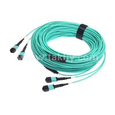 24 lifli 2x12F MPO MTP - 2x12F MPO MTP Erkek Dişi OM3 OM4 Çok Modlu Fiber Optik Yama Kablosu / Optik Fiber Yama Kablosu / Optik Kırılma Kablosu / Optik Fiber Ana Kablo / Optik Fiber Fanout Kablosu