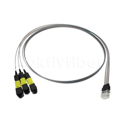3x12F MTP - Yüksek iletim hızı düşük tüketim ve yüksek istikrar ve güvenilirlik ile 36CH Fiber Array FA Montajı
