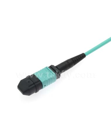 MPO/MTP-LC Breakout Patch Cord. Yüksek yoğunluklu çok çekirdekli fiber optik kablolama çözümü.