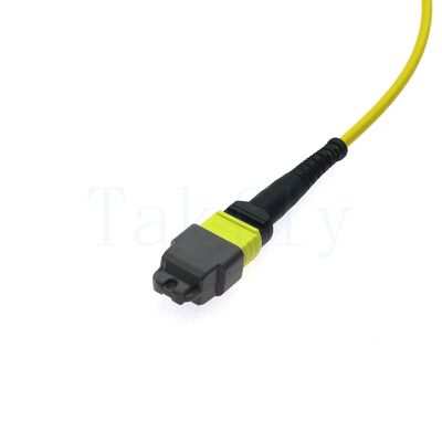 12F MTP(M) – MTP(F) APC Bağlantı Kablosu, SM G657A1, 1m, 3,0mm, LSZH Sarı, Bükülmeye Duyarsız Önyükleme, Düşük Kayıp