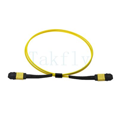 12 çekirdekli MPO APC Fanout Patch Kablosu