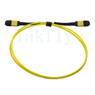 12 çekirdekli MPO APC Fanout Patch Kablosu