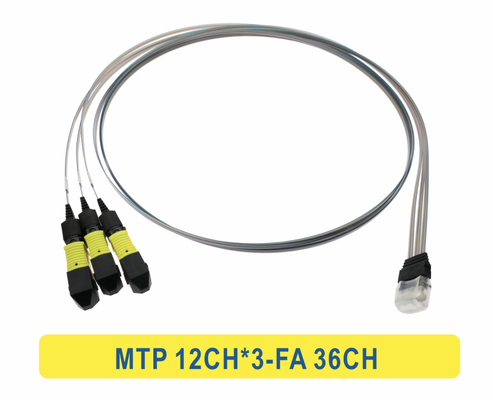 3 * 12F MTP'den 36CH FA'ya Fiber Dizi Fiber Optik Patchcord Kablosu