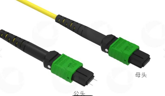 8F 12F 16F 24F MPO MTP Erkek Dişi SM MM Fiber Optik Patchcord / Optik Fiber Patch Kablo / Optik Koparma Kablosu / Yüksek Yoğunluklu Veri Merkezi için Optik Fiber Ana Kablo