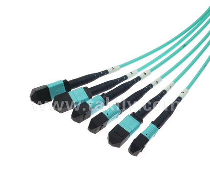 72 çekirdekli MPO / PC Trunk Patch Cord OM3 Multimode, 6 × MPO Girişten 6 × MPO Çıktısına, Düşük Giriş Kaybı, Yüksek Nitelik Verita Merkezi ve 40G / 100G SR4/SR10 Uygulamaları için