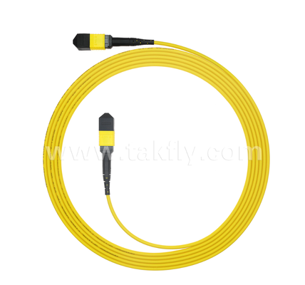Zırhlı MPO / MTP Patch Cord FTTA / Endüstriyel / Madencilik için kemirgen hasarını ve ezilmesini önleyen sağlam metal kılıf