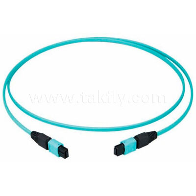 MPO MTP High‑Density Multi‑Fiber Patch Cord – 8/12/24 Cores, Low Loss, 500 Mating Cycles, IEC & TIA Compliant