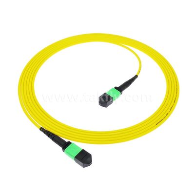 MPO MTP Patchcord SM Trunk Kablo 12F Veri Merkezi AI Telekom FTTX Kablolama için Fiber Optik
