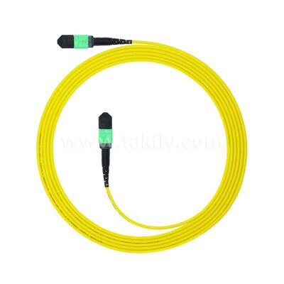 MPO MTP Patchcord SM Trunk Kablo 12F Veri Merkezi AI Telekom FTTX Kablolama için Fiber Optik