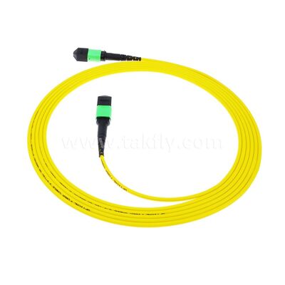 MPO MTP Patchcord SM Trunk Kablo 12F Veri Merkezi AI Telekom FTTX Kablolama için Fiber Optik