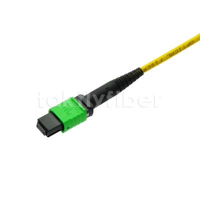 MPO MTP Patchcord SM Trunk Kablo 12F Veri Merkezi AI Telekom FTTX Kablolama için Fiber Optik