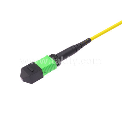 MPO MTP Patchcord SM Trunk Cable 24F Fiber Optic for Data Center AI Telecom FTTX Cabling
