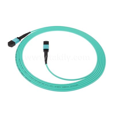 Veri Merkezi AI Telekom Kablolaması için MPO MTP Patchcord Çok Modlu OM3 Ana Kablo 12F Fiber Optik