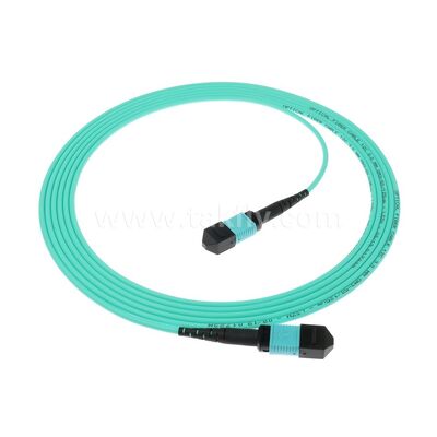 Veri Merkezi AI Telekom Kablolaması için MPO MTP Patchcord MM OM3 Ana Kablo 12F Fiber Optik