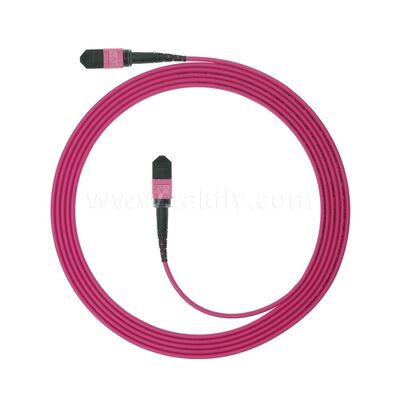 MPO MTP Patchcord Multimode OM4 Trunk Cable 24F Fiber Optic for Data Center AI Telecom Cabling