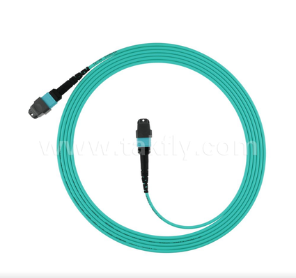 MPO/MTP 16-Fiber OM4 Trunk Kablosu ¢ Hiperscale Veri Merkezleri için Yüksek yoğunluklu, Düşük Giriş Kaybı (40G/100G/400G Hazır)