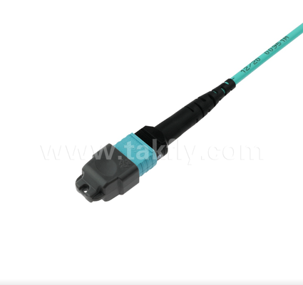 MPO/MTP 16-Fiber OM4 Trunk Kablosu ¢ Hiperscale Veri Merkezleri için Yüksek yoğunluklu, Düşük Giriş Kaybı (40G/100G/400G Hazır)