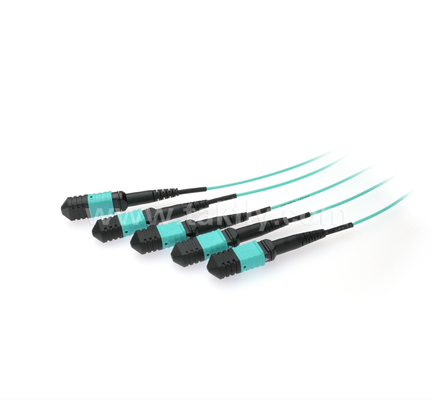 1×4 MPO/MTP OM3 PLC Splitter ¢ Veri Merkezleri için Yüksek Nitelikli Çoklu Fiber Splitter