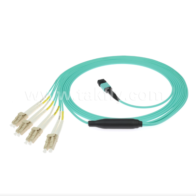 MPO/MTP-LC Breakout Patch Cord. Yüksek yoğunluklu çok çekirdekli fiber optik kablolama çözümü.