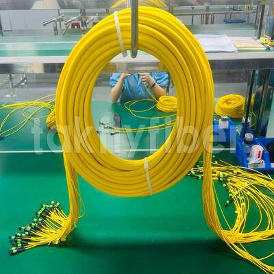 Takfly MPO/MTP Patch Cord 8/12/24 Çekirdekler 576 Çekirdeklere kadar Düşük Kayıp 500 Çiftleşme Dönemleri IEC & TIA Uyumlu