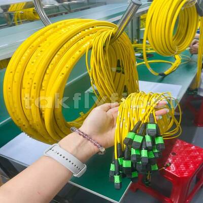 Takfly MPO/MTP Patch Cord 8/12/24 Çekirdekler 576 Çekirdeklere kadar Düşük Kayıp 500 Çiftleşme Dönemleri IEC & TIA Uyumlu
