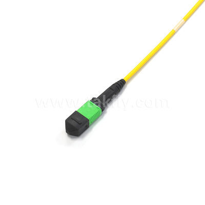 288-Core MPO-APC High-Density Fiber Connector – US Conec Compatible, Single-mode, Ultra-High Density for Hyperscale Data Centers