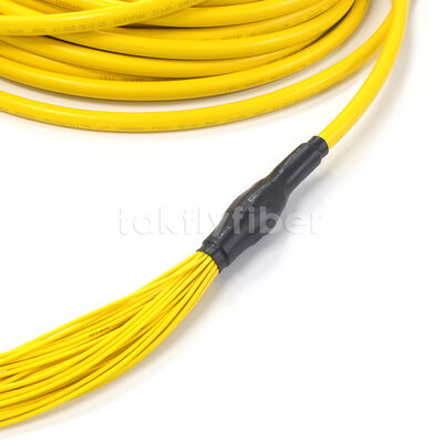 Amphenol Özelleştirilmiş 288 Fiber 0.35dB Maksimum Giriş Kaybı Tek Modlu OS2 MPO Trunk Kablosu Veri Merkezi İçin