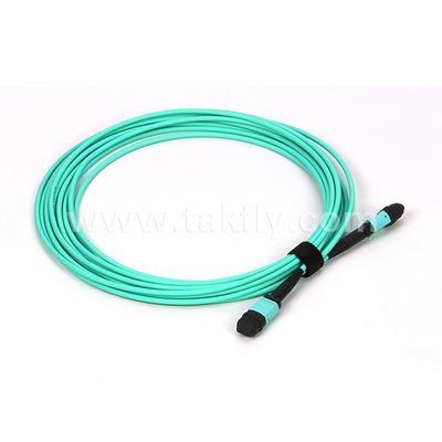Veri Merkezi Uygulamaları için Çok Modlu Fiber Optic Kablo 12/24 Çekirdek Mpo Mtp Om3