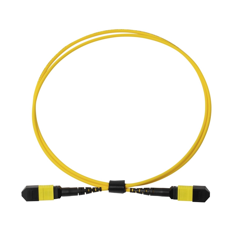 Topluluk OFNP MPO Patch Cord 1m 3ft MTP-12 APC Kadın ile MTP-12 APC Kadın Tek Mod OS2
