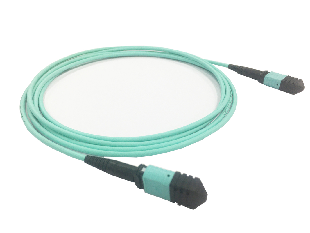 Elite Multimode OM3 50/125, Plenum OFNP Tip B MPO Patch Cord 3m 10ft MTP-12 PC Kadın MTP-12 PC Kadın
