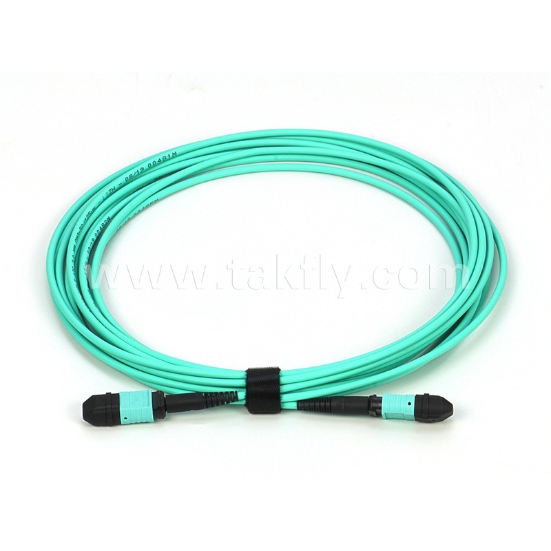 Elite Multimode OM3 50/125 Plenum OFNP Tip B MPO Patch Cord 30m 100ft MTP-12 PC Kadın MTP-12 PC Kadın