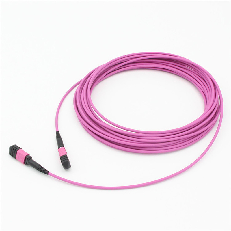 Elite Multimode OM4 50/125, Plenum OFNP Tip B MPO yama kablosu 1m 3ft MTP-12 PC Kadın MTP-12 PC Kadın