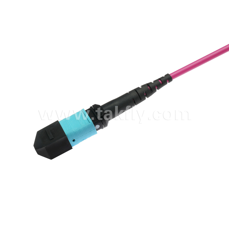 Elite Multimode OM4 50/125, Plenum OFNP Tip B MPO yama kablosu 3m 10ft MTP-12 PC Kadın MTP-12 PC Kadın