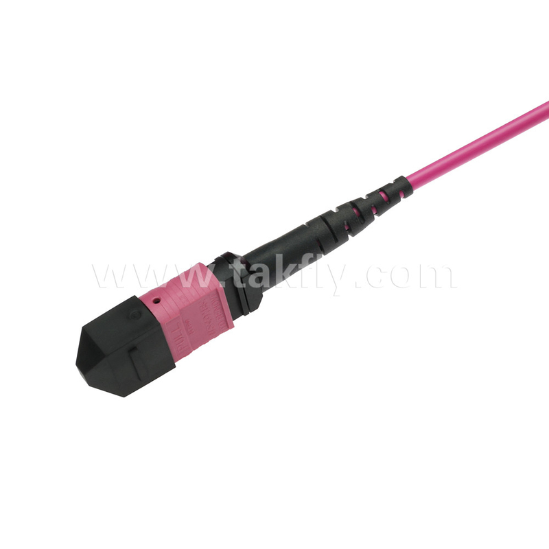 Elite Multimode OM4 50/125, Plenum OFNP Tip B MPO Patch Cord 5m 16ft MTP-12 PC Kadın MTP-12 PC Kadın