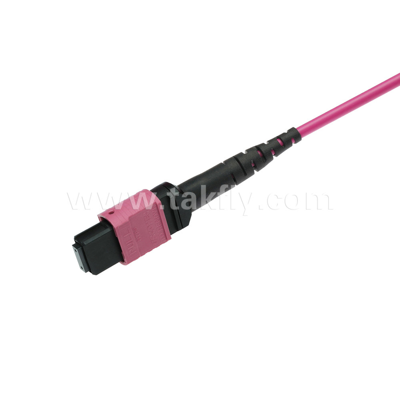 Elite Multimode OM4 50/125 Plenum OFNP Tip B MPO Patch Cord 3.0mm Kablo 10m 33ft MTP-12 PC Kadın'dan MTP-12 PC'ye Kadın