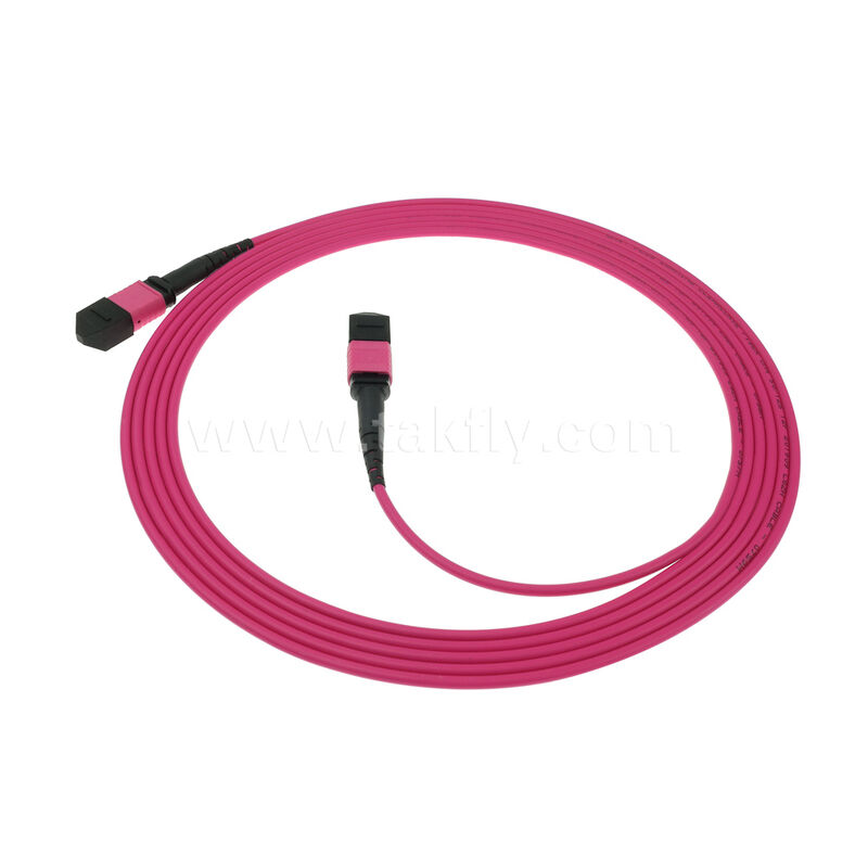 MM Çoklu Mod OM4 MPO MTP Erkek Dişi 8F 12F 16F 24F Fiber Optik Yama Kablosu / Optik Fiber Yama Kablosu / Optik Ayrıştırma Kablosu / Optik Fiber Ana Kablo PVC LSZH OFNR OFNP Dış Kılıf ile