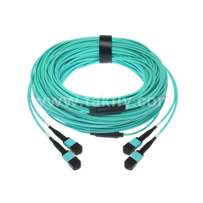 OM3 OM4 Multimode 24 fiber 2x12F MPO MTP- 2x12F MPO MTP Erkek Kadın Optik Fiber Patchcord / Optik Fiber Patch Kablosu / Optik Breakout Kablosu / Optik Fiber Trunk Kablosu / Optik Fiber Fanout Kablosu